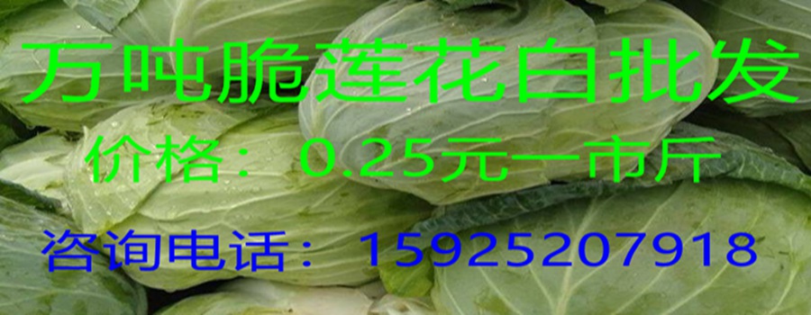 首页买房团上方横幅
